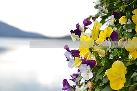 花呗逾期后结清罚金可以追回吗 花呗逾期后结清罚金可以追回吗