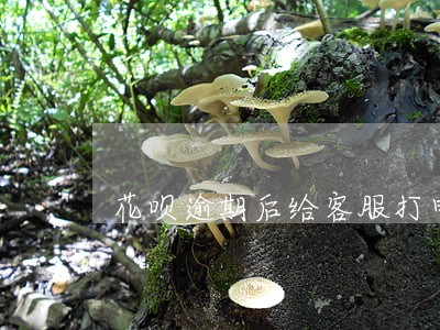 花呗逾期后给客服打电话有用吗