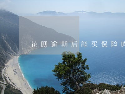 花呗逾期后能买保险吗 花呗逾期后能买保险吗