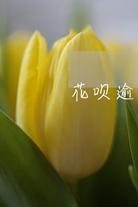 花呗逾期后能买房吗 花呗逾期后能买房吗