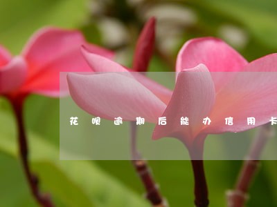 花呗逾期后能办信用卡吗 花呗逾期后能办信用卡吗