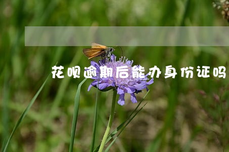 花呗逾期后能办身份证吗 花呗逾期后能办身份证吗