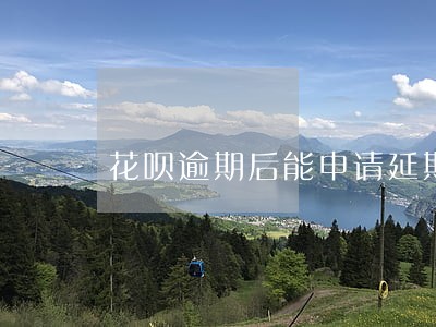 花呗逾期后能申请延期还款嘛 花呗逾期后能申请延期还款嘛