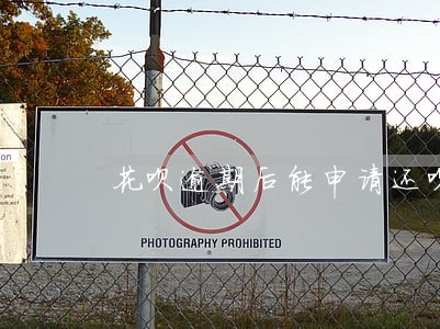 花呗逾期后能申请还呗吗 花呗逾期后能申请还呗吗