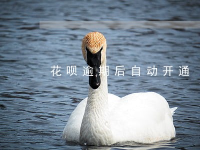 花呗逾期后自动开通 花呗逾期后自动开通