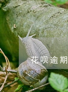 花呗逾期后自动扣款 花呗逾期后自动扣款