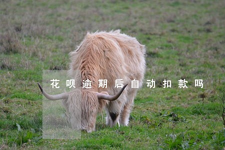 花呗逾期后自动扣款吗 花呗逾期后自动扣款吗