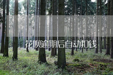 花呗逾期后自动扣钱 花呗逾期后自动扣钱