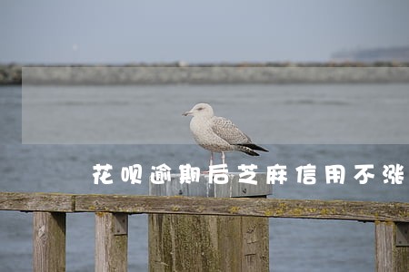 花呗逾期后芝麻信用不涨 花呗逾期后芝麻信用不涨