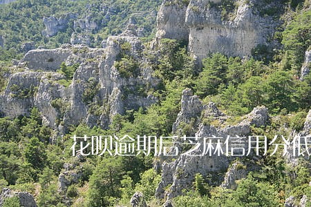 花呗逾期后芝麻信用分低