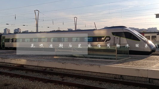 花呗逾期后芝麻信用能涨回来吗 花呗逾期后芝麻信用能涨回来吗