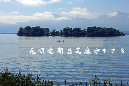 花呗逾期后芝麻分473 花呗逾期后芝麻分473