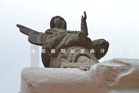 花呗逾期后芝麻分579