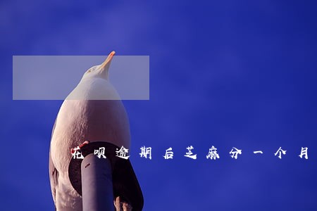 花呗逾期后芝麻分一个月加一分 花呗逾期后芝麻分一个月加一分