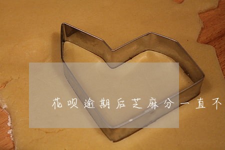 花呗逾期后芝麻分一直不涨 花呗逾期后芝麻分一直不涨