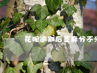 花呗逾期后芝麻分不涨了 花呗逾期后芝麻分不涨了