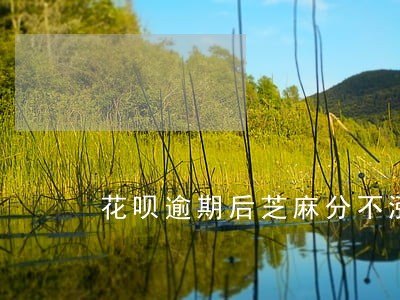 花呗逾期后芝麻分不涨怎么办 花呗逾期后芝麻分不涨怎么办