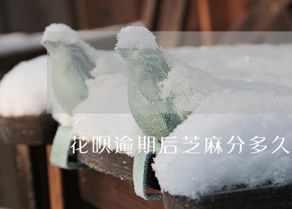 花呗逾期后芝麻分多久能恢复 花呗逾期后芝麻分多久能恢复