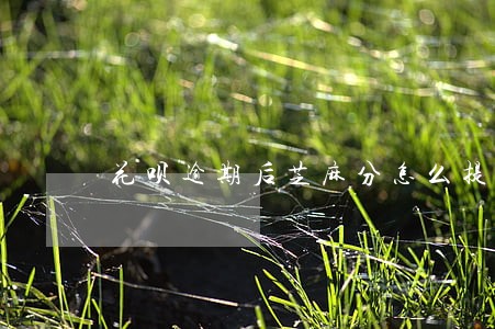 花呗逾期后芝麻分怎么提高 花呗逾期后芝麻分怎么提高