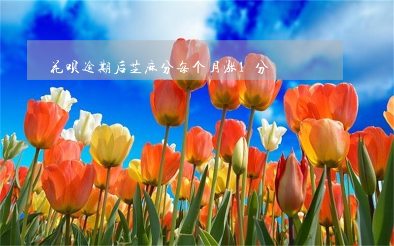 花呗逾期后芝麻分每个月涨1分 花呗逾期后芝麻分每个月涨1分