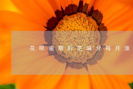 花呗逾期后芝麻分每月涨一分