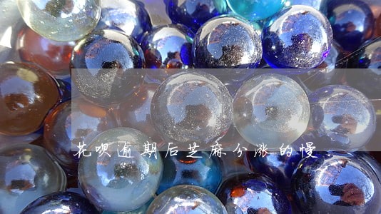 花呗逾期后芝麻分涨的慢 花呗逾期后芝麻分涨的慢