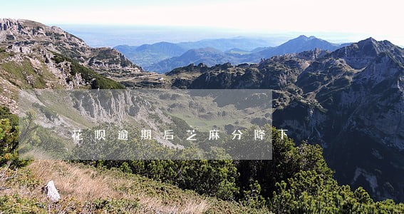 花呗逾期后芝麻分降下 花呗逾期后芝麻分降下