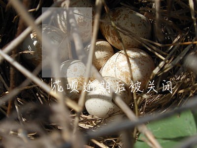 花呗逾期后被关闭 花呗逾期后被关闭