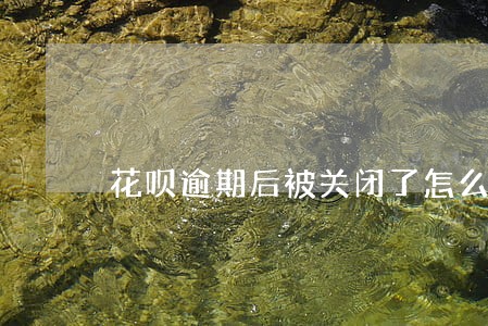 花呗逾期后被关闭了怎么才还款 花呗逾期后被关闭了怎么才还款