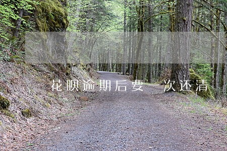 花呗逾期后要一次还清 花呗逾期后要一次还清