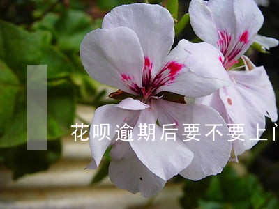 花呗逾期后要不要上门催收 花呗逾期后要不要上门催收