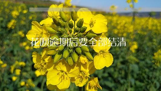 花呗逾期后要全部结清 花呗逾期后要全部结清