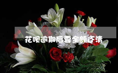 花呗逾期后要全额还清 花呗逾期后要全额还清
