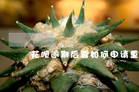 花呗逾期后要如何申请重新开通 花呗逾期后要如何申请重新开通
