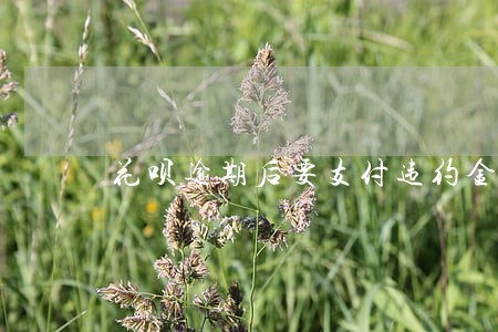 花呗逾期后要支付违约金吗 花呗逾期后要支付违约金吗