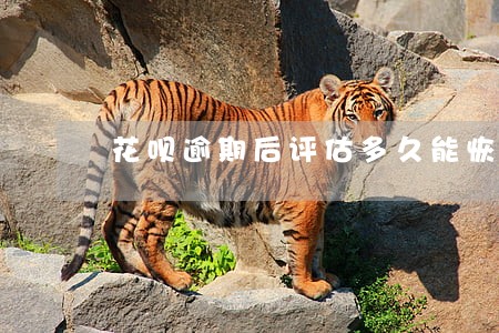 花呗逾期后评估多久能恢复 花呗逾期后评估多久能恢复
