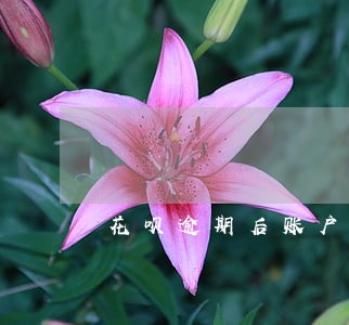 花呗逾期后账户进钱就被扣走 花呗逾期后账户进钱就被扣走