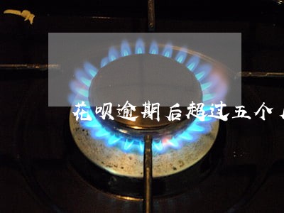 花呗逾期后超过五个月会怎样 花呗逾期后超过五个月会怎样