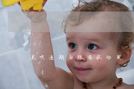 花呗逾期后跟催收协商 花呗逾期后跟催收协商