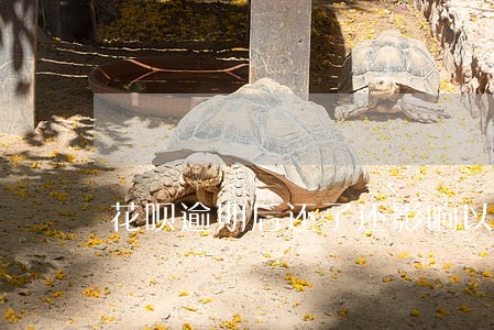 花呗逾期后还了还影响以后买房吗
