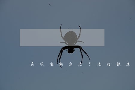 花呗逾期后还了还给额度吗 花呗逾期后还了还给额度吗