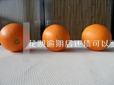 花呗逾期后还债可以买车吗 花呗逾期后还债可以买车吗