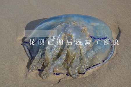 花呗逾期后还减了额度 花呗逾期后还减了额度