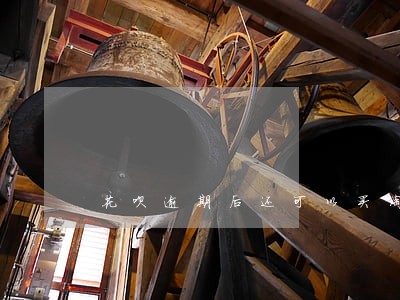 花呗逾期后还可以买淘宝吗 花呗逾期后还可以买淘宝吗