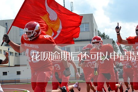 花呗逾期后还可以申请提额吗 花呗逾期后还可以申请提额吗