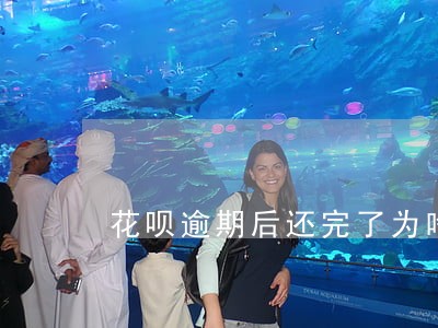 花呗逾期后还完了为啥额度不能用 花呗逾期后还完了为啥额度不能用