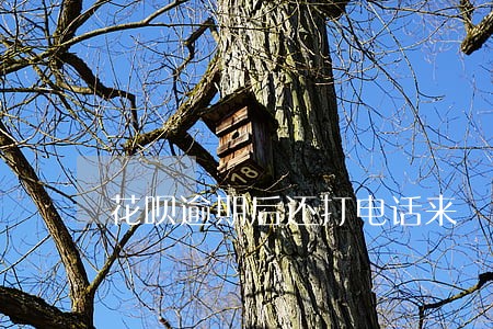 花呗逾期后还打电话来 花呗逾期后还打电话来