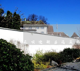 花呗逾期后还显示通用额度 花呗逾期后还显示通用额度