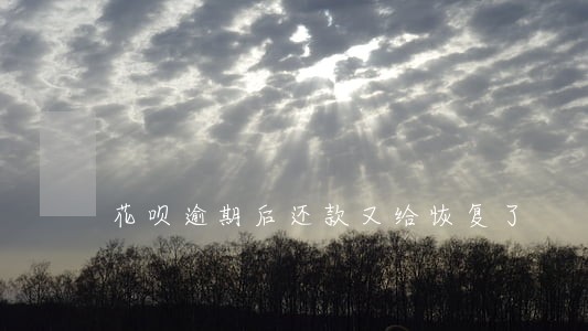 花呗逾期后还款又给恢复了 花呗逾期后还款又给恢复了