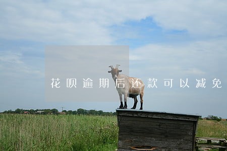 花呗逾期后还款可以减免罚息吗 花呗逾期后还款可以减免罚息吗